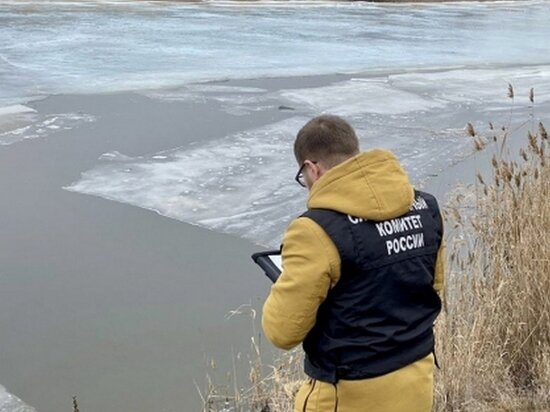     Фото: СУ СК по Саратовской области