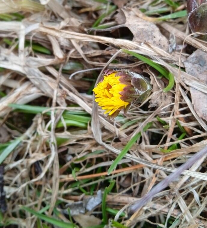 Фото: Людмила Подкорытова