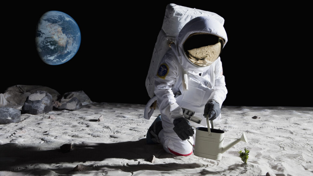    Space Moon