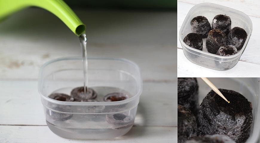 Майл. Картинки