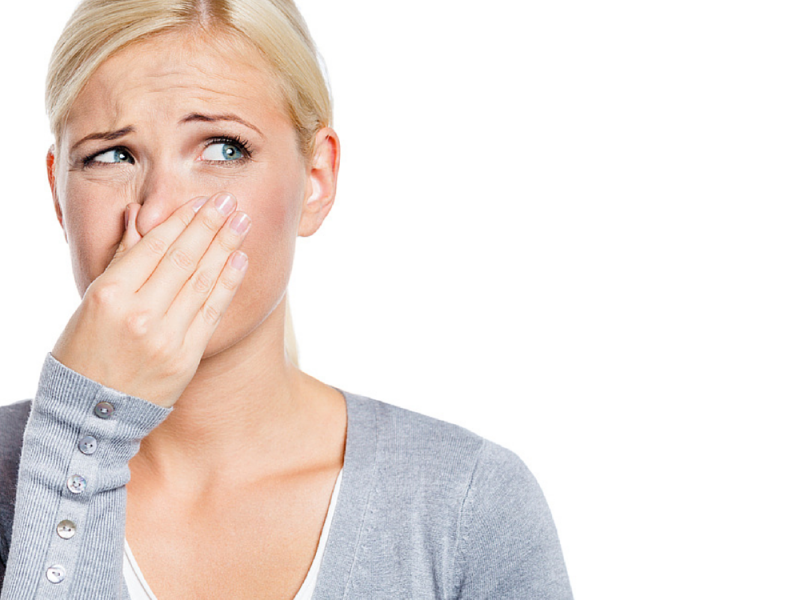 Фото из открытых общедоступных источников 