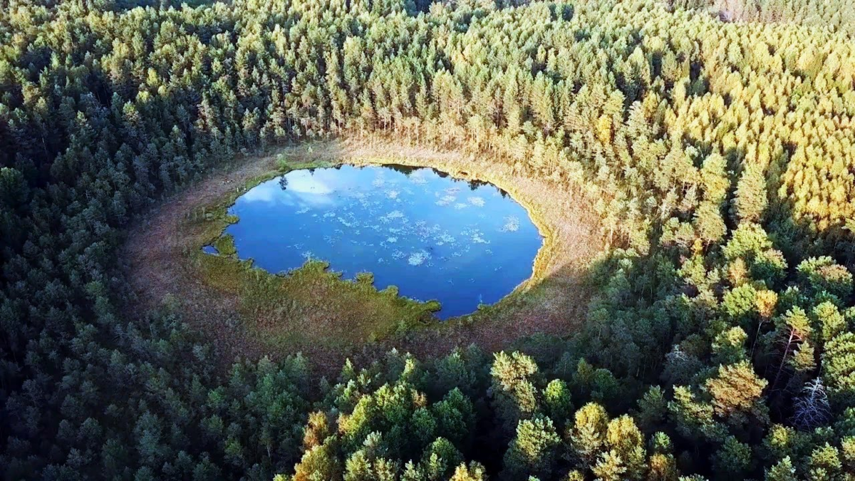 Оз рить. Озеро в Шатнево Вязниковский район. Озеро Широха Владимирская область. Озеро великое Владимирская область. Озеро великое Вязниковский район.