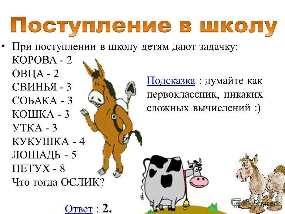 Рифма коров. Загадки с приколом. Смешные задачки на логику. Шуточные задачки на логику с ответами. Задача с животными на логику ответы