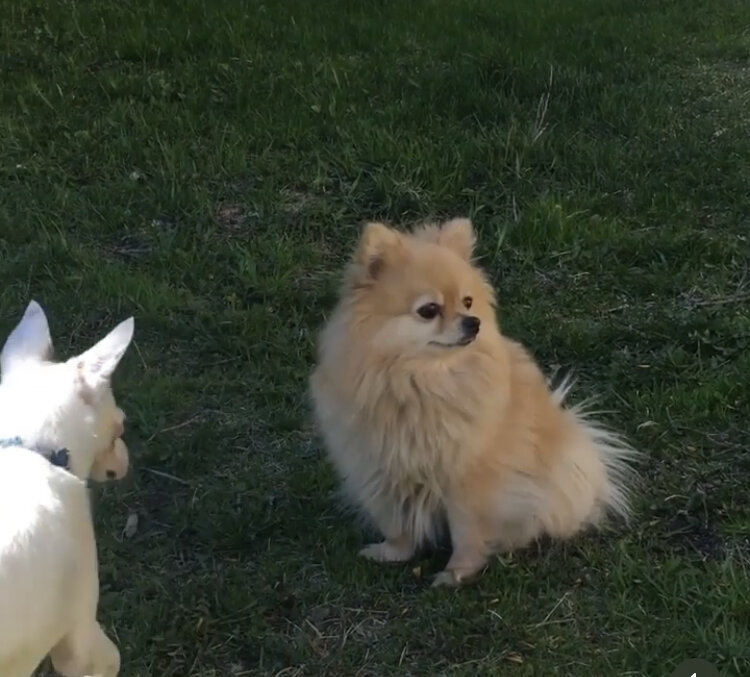 Вот она, роковуха! Все написано на лице 😂