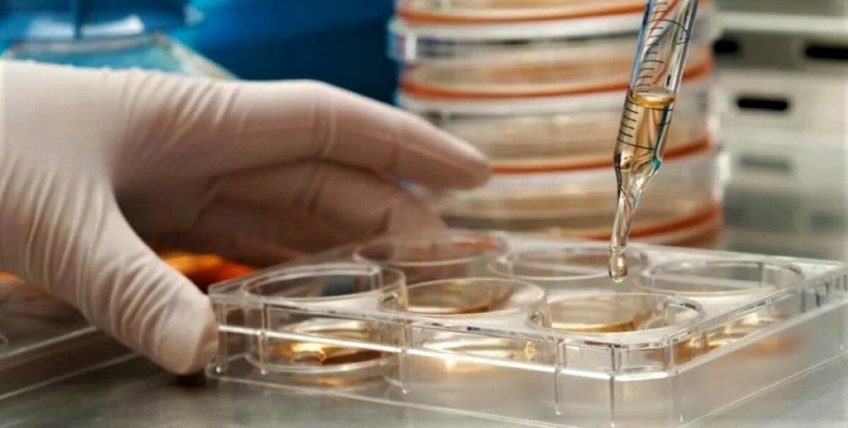 Источник: shorturl.at/emtHR