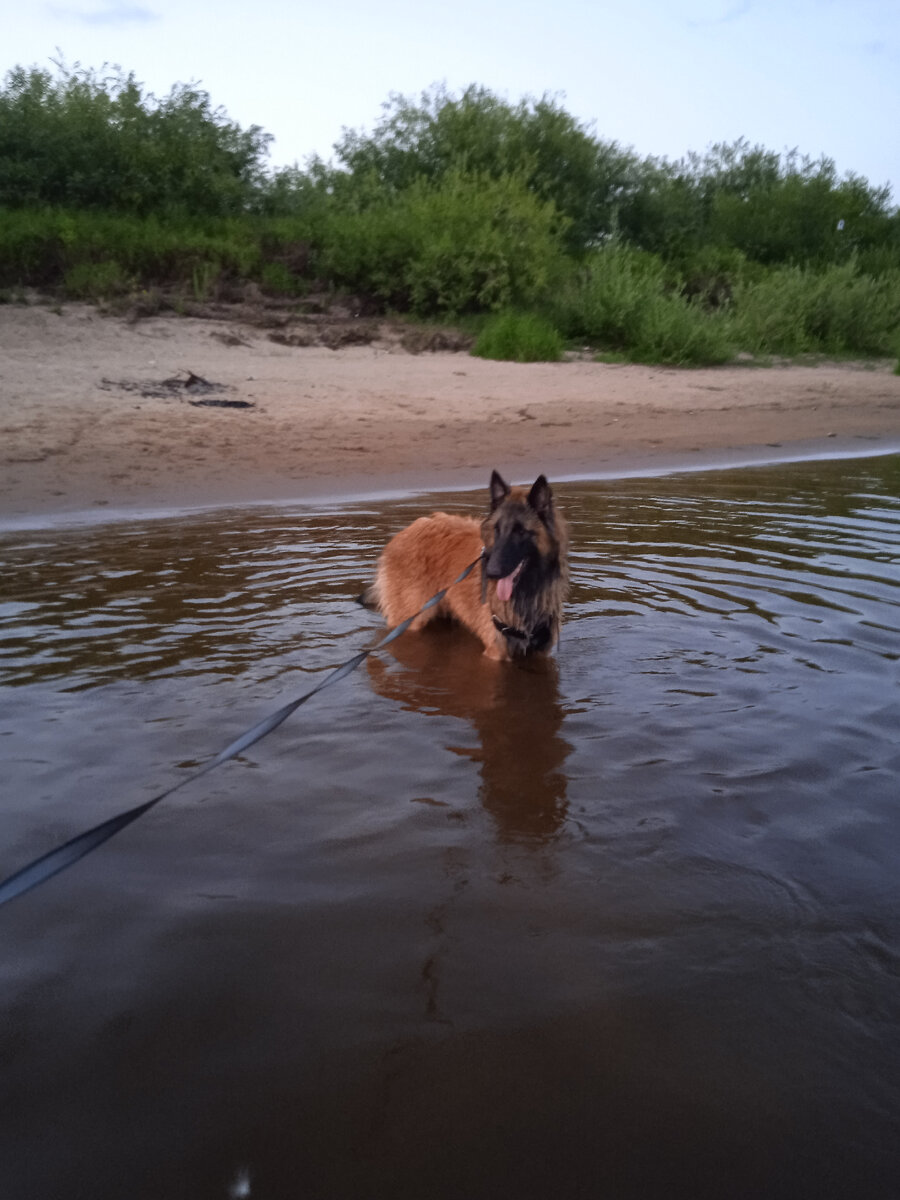 Купание, к сожалению, от теплового удара не спасет - наоборот, на пляже есть риск перегреться еще больше.