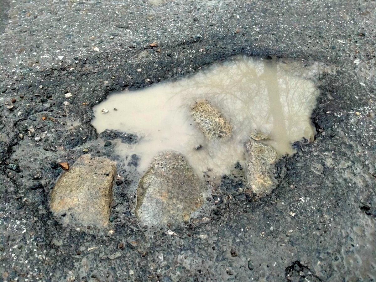 фото BFM-Новосибирск