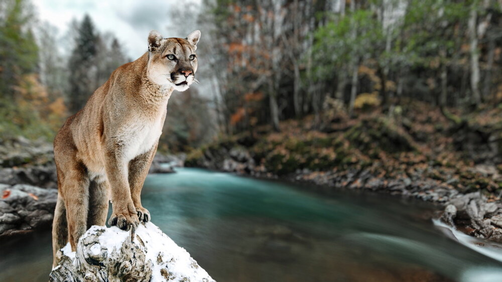    Фото: Shutterstock