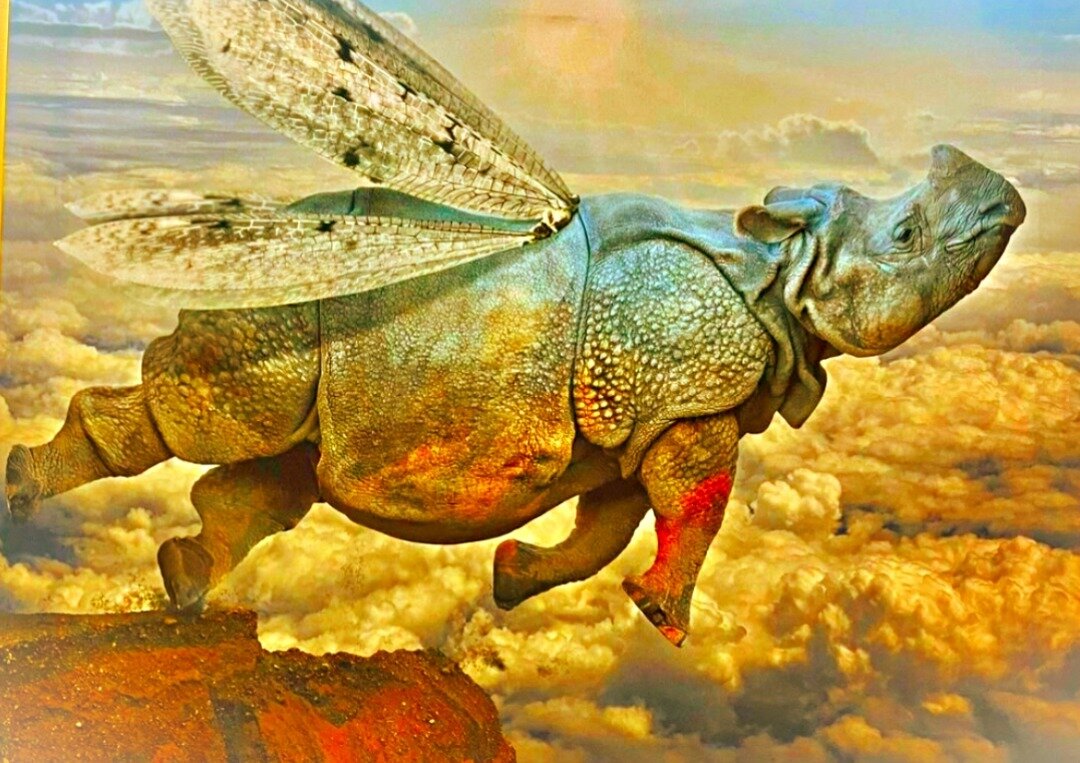Признаки, что скоро наступит светлая полоса