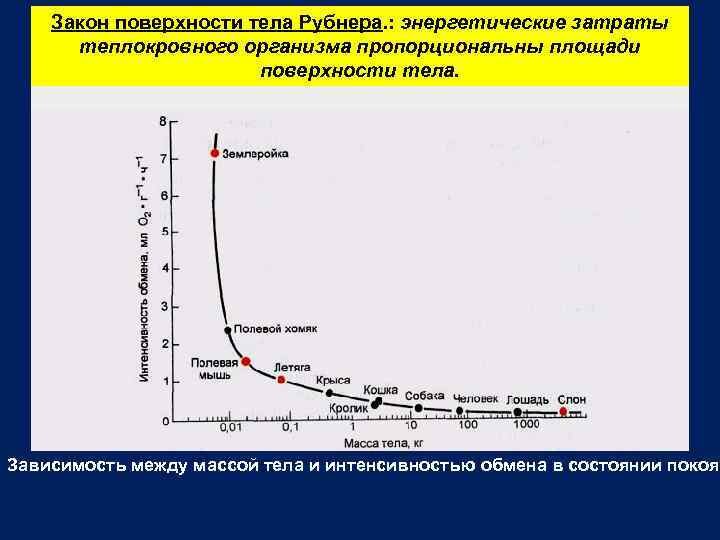 Фото с сайта https://present5.com/metabolizm-obmen-energiej-termoregulyaciya-lekciya-dlya-studentov-dnevnogo/