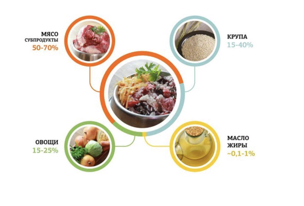 Рацион питания для щенка натуралкой