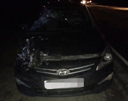    Фото с сайта УМВД по Рязанской области