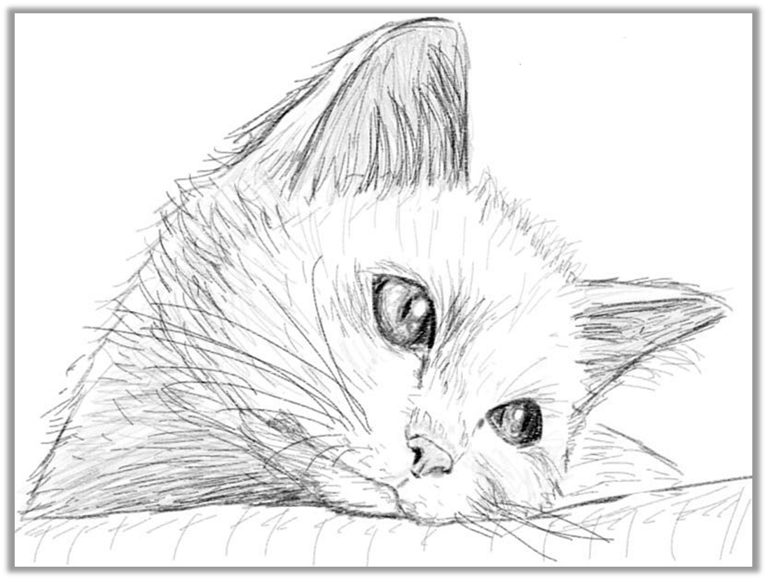 Картинки котят рисовать легко