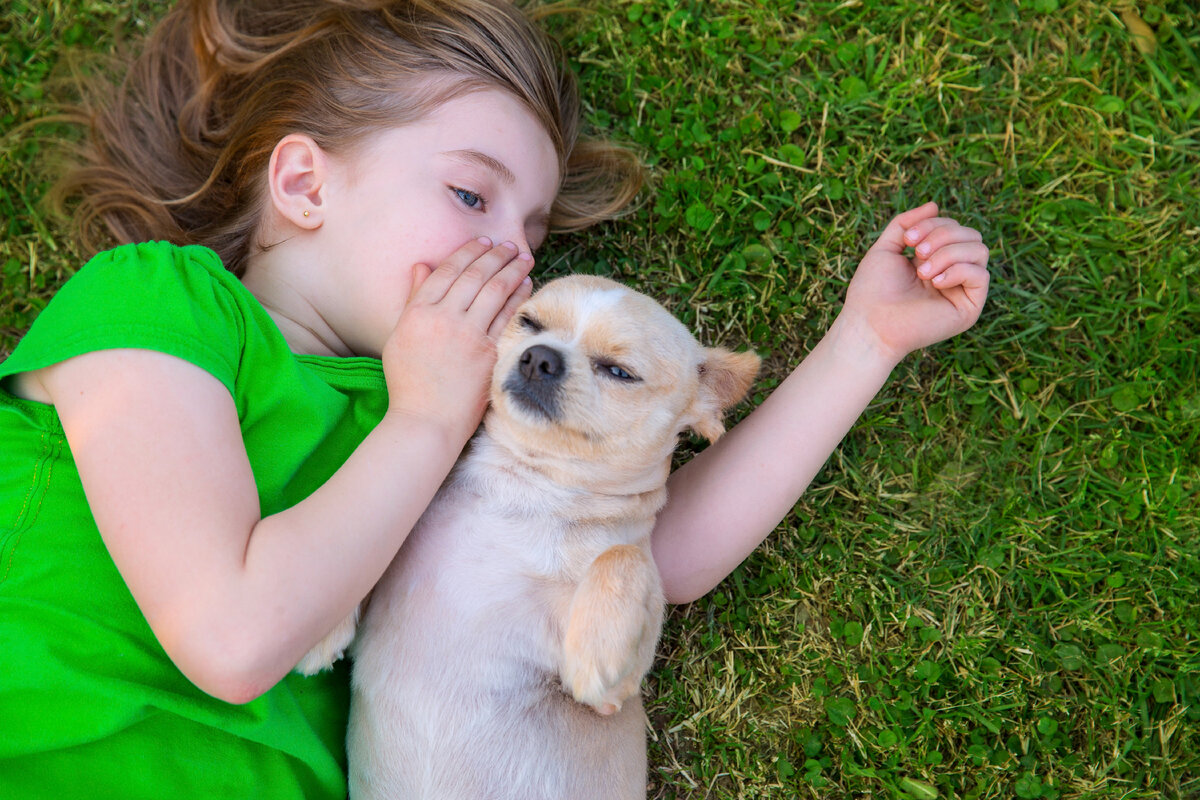 Дети с РАС и животные: возможные сценарии совместного проживания