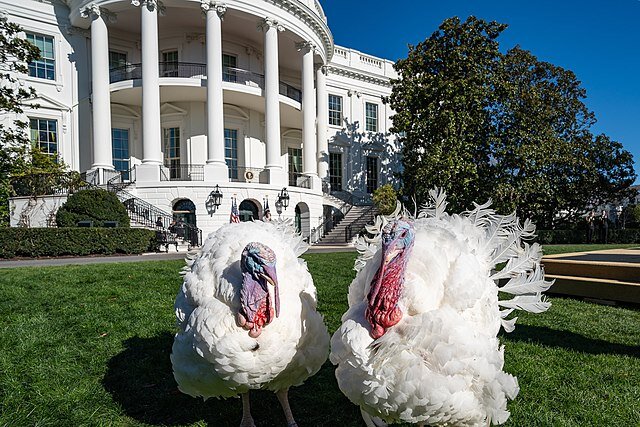 Официальный сайт президента США www.whitehouse.gov (Lawrence Jackson)📷
