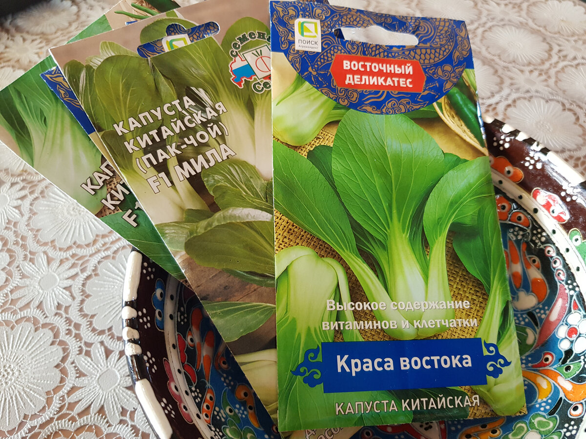 Капуста ночи тосканы. Капуста листовая Кале ночи Тосканы. Капуста листовая ночи Тосканы. Капуста ночь Тосканы описание.