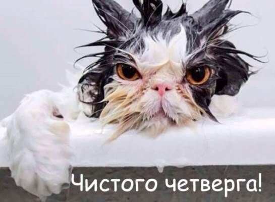 иллюстрация из яндекс картинки.