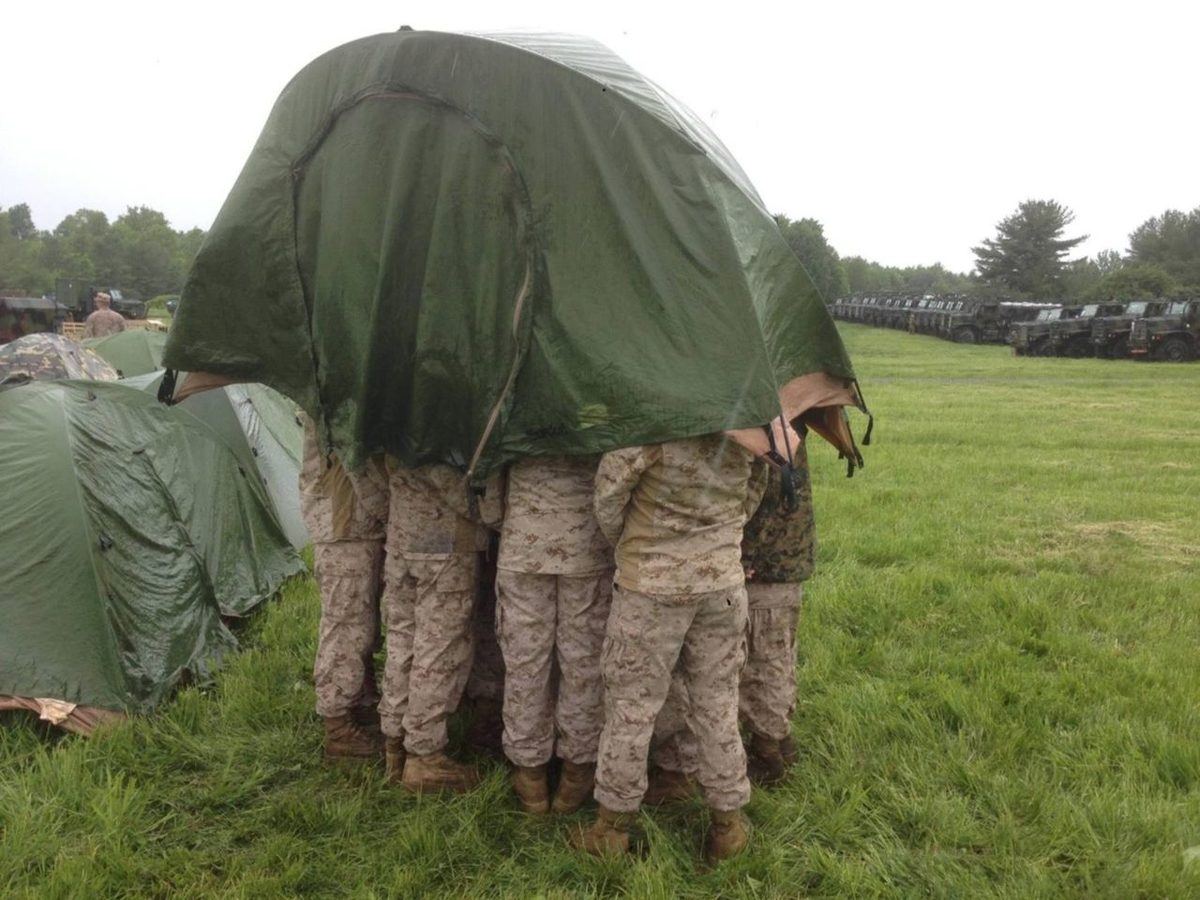 Секретничают.