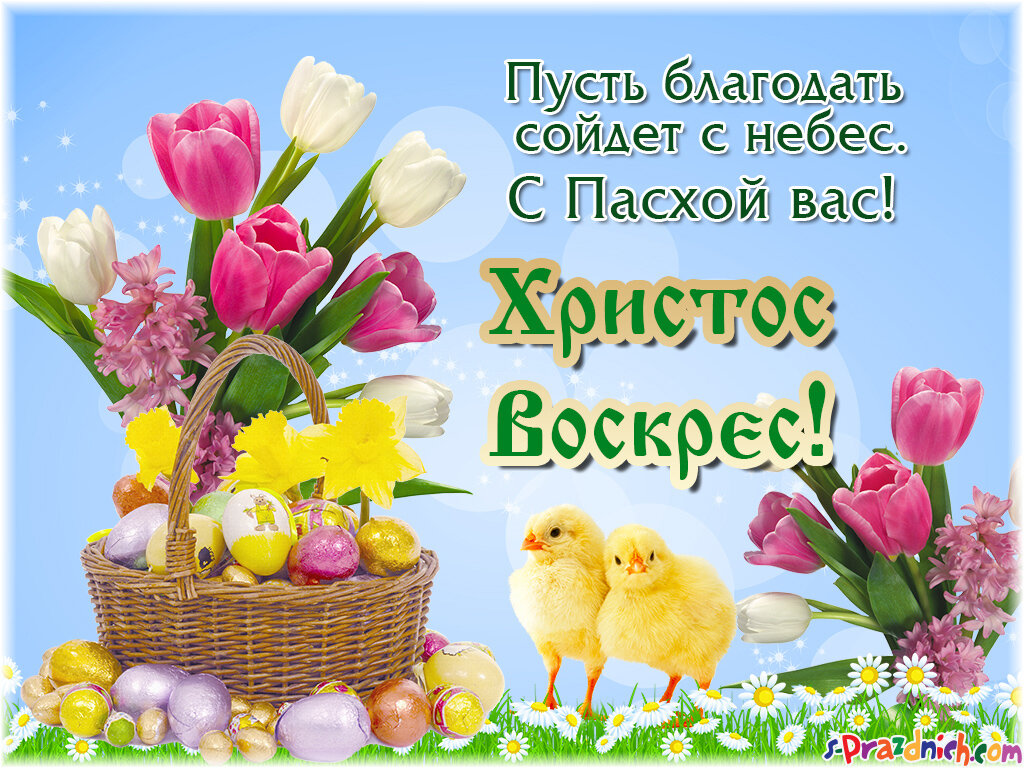 Картинка из интернета 