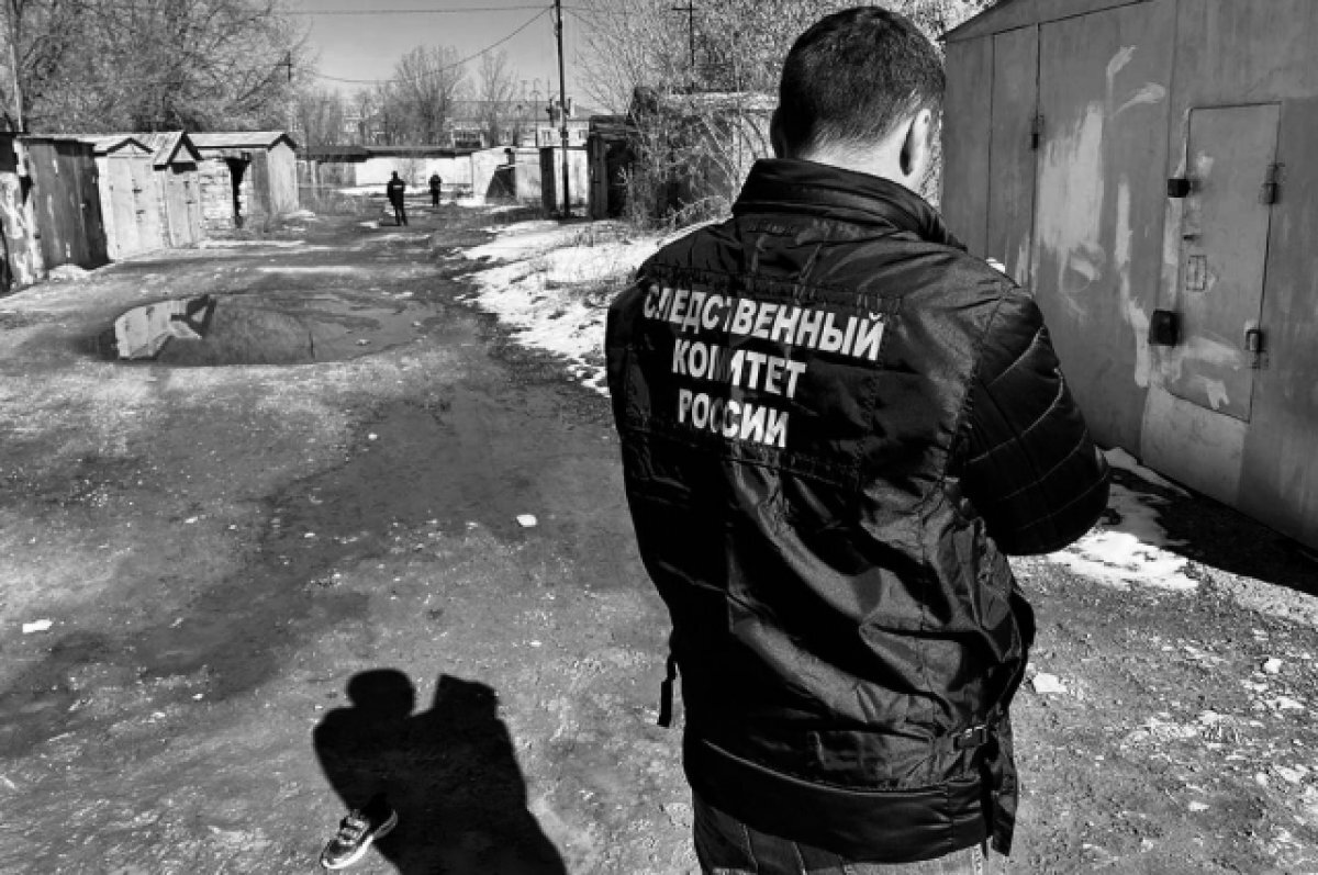    Детский омбудсмен высказалась о гибели ребенка от напавших псов в Оренбурге