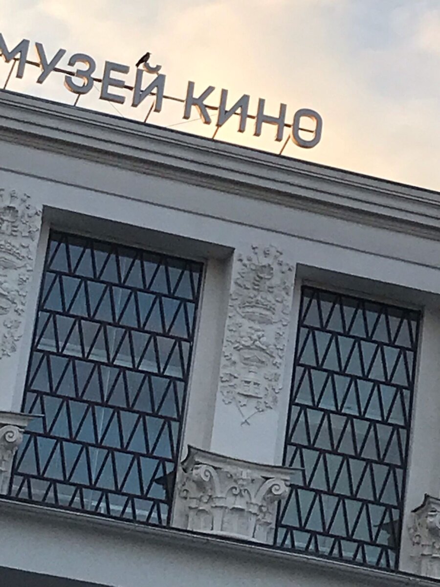 А на буквах сидит любопытная сорока