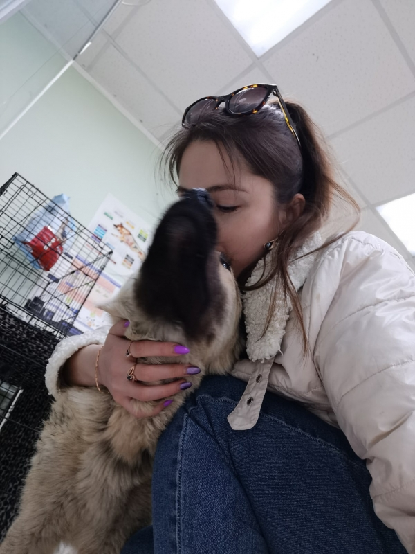 Каждый день Ирина приносила Зевсу домашней каши. Фото: Благотворительный фонд «Собака счастья»