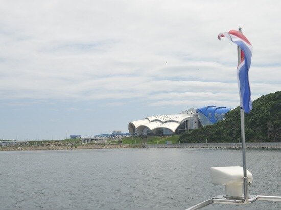     Стало известно, как в мае будет работать дельфинарий во Владивостоке / Борис Кокурин