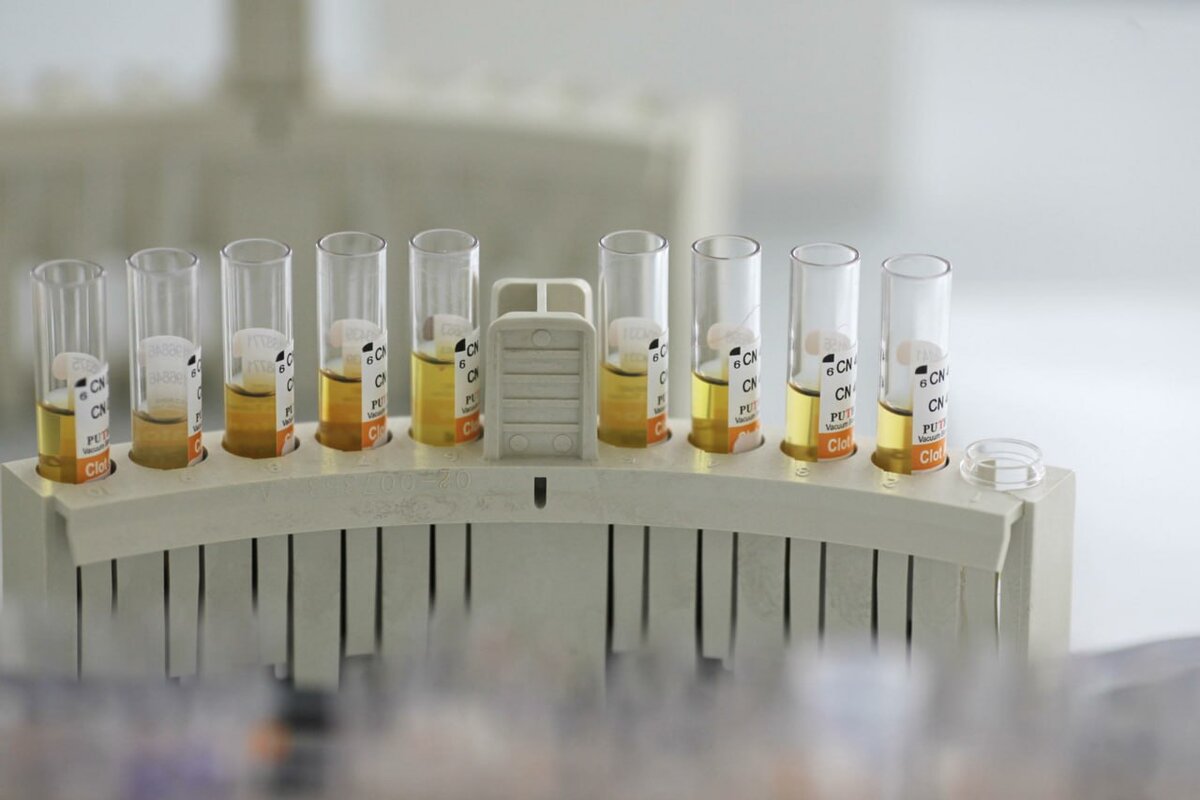 Фото: © Nikolay Gyngazov/globallookpress