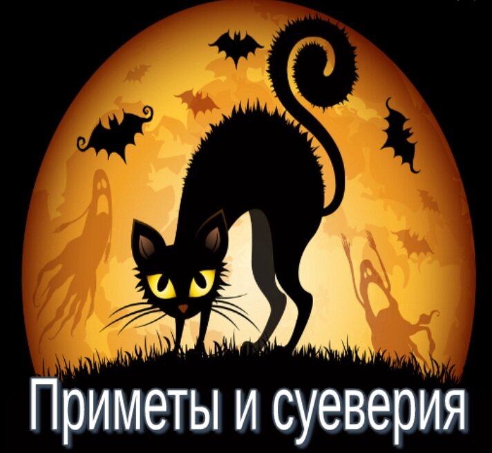 Чёрная кошка, которая не сулит ничего хорошего...