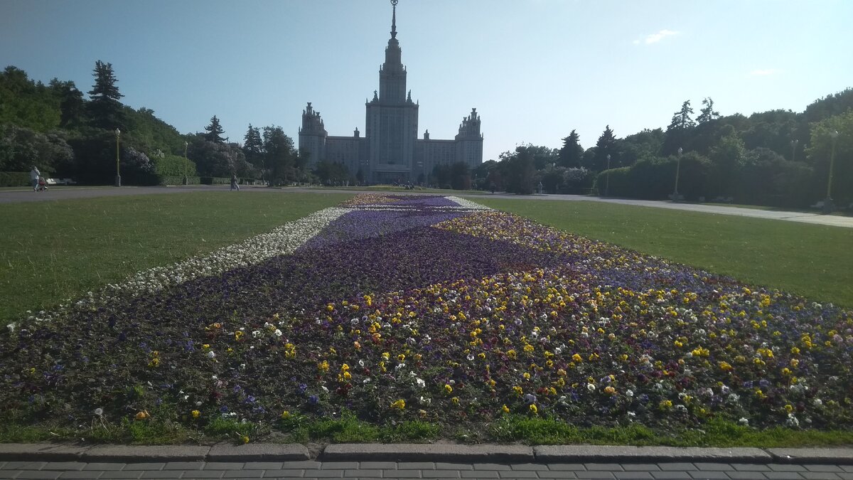 Как только есть время, хожу сюда гулять  