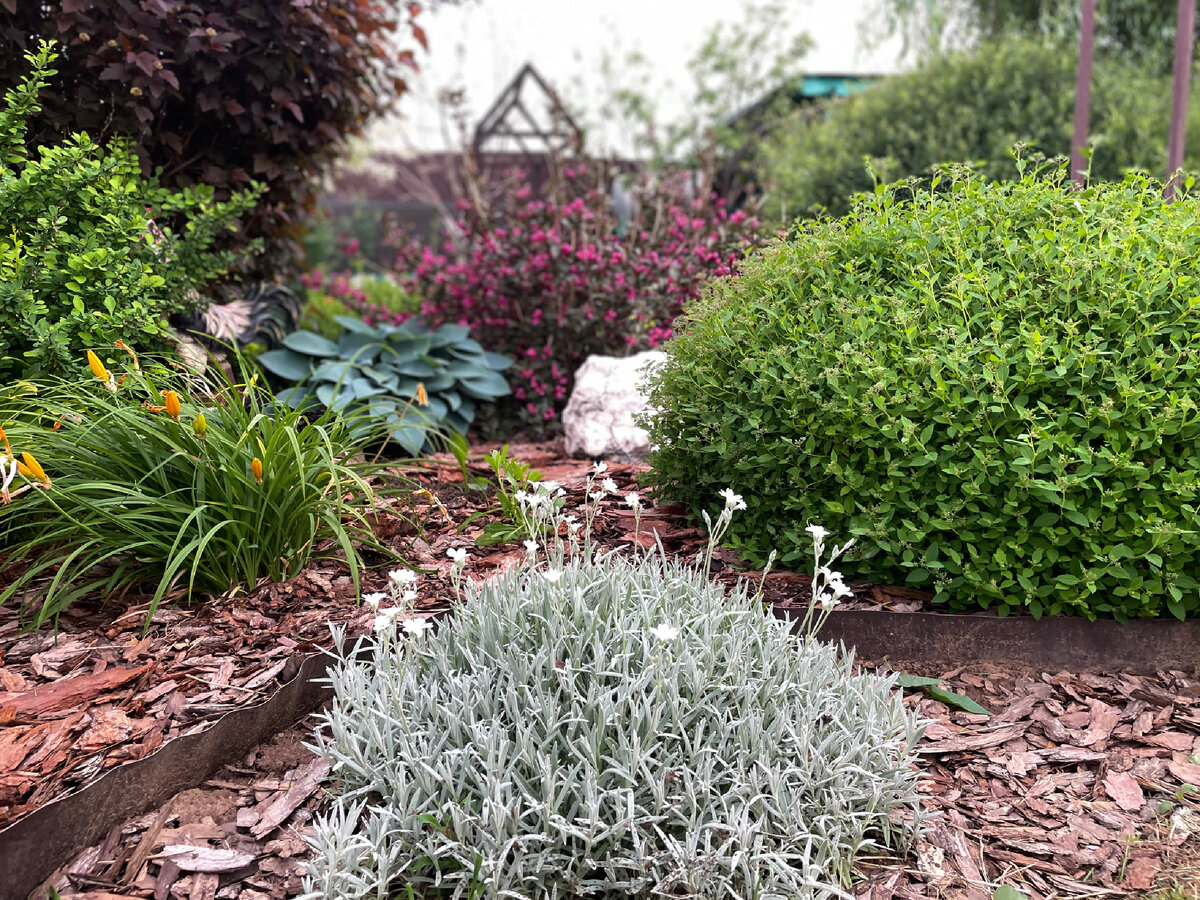 Мои цветники.