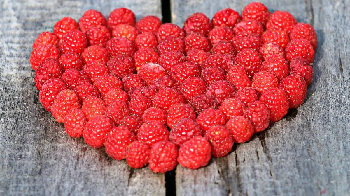 Фото: pxhere.com