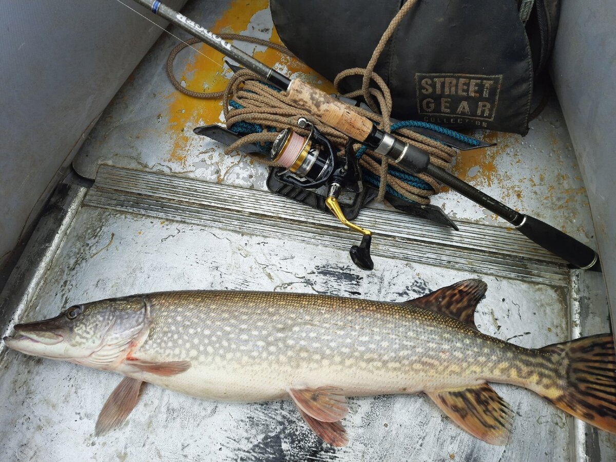 Рыболовный календарь. Рыбалка таблица. Лунный календарь на декабрь 2022 клев рыбы. Когда какая рыба клюет. Можно ли сейчас ловить рыбу на москве реке.