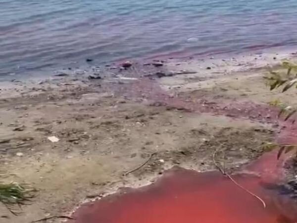 Источник фото: Это Ростов,/vk.com