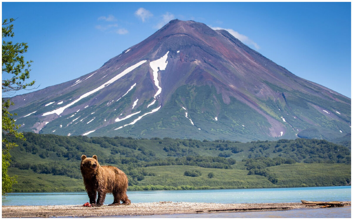 Данная картинка из общедоступных ресурсов сети интернет принадлежит только ее авторам.