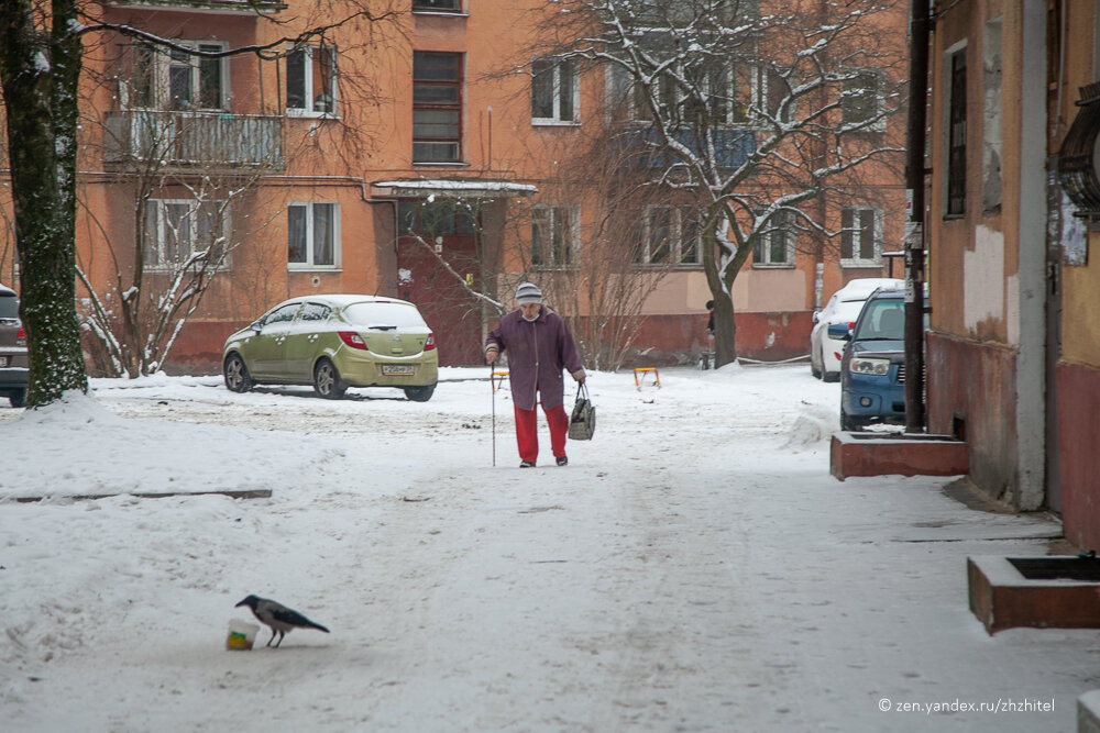 Панельный дом в Калининграде