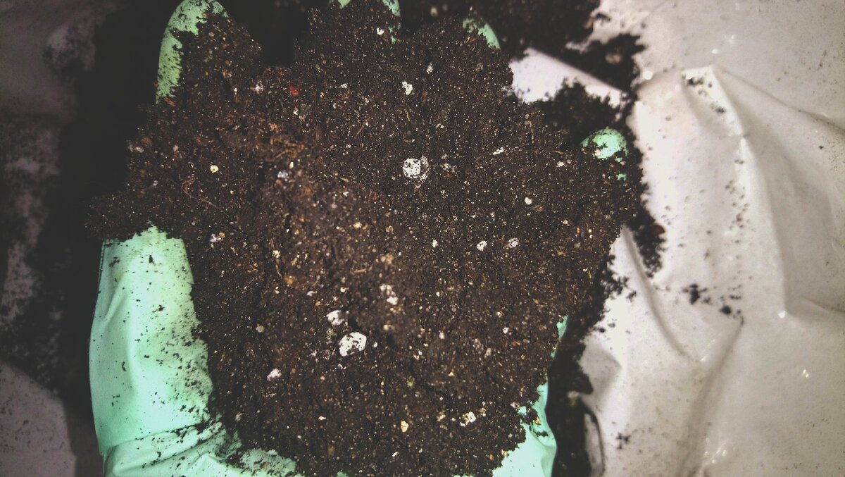 Используемая почвосмесь 