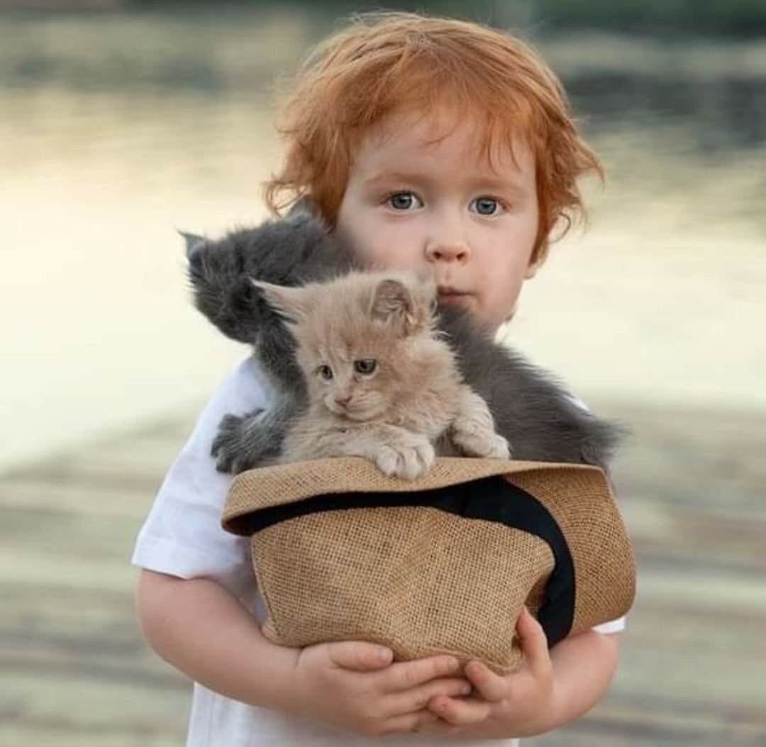 Фото найдено на просторах интернета. 