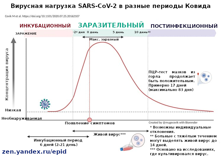 Коронавирус период заразности. Срок заразности больного коронавирусом. Сроки заразности при коронавирусе. Когда больной наиболее заразен.