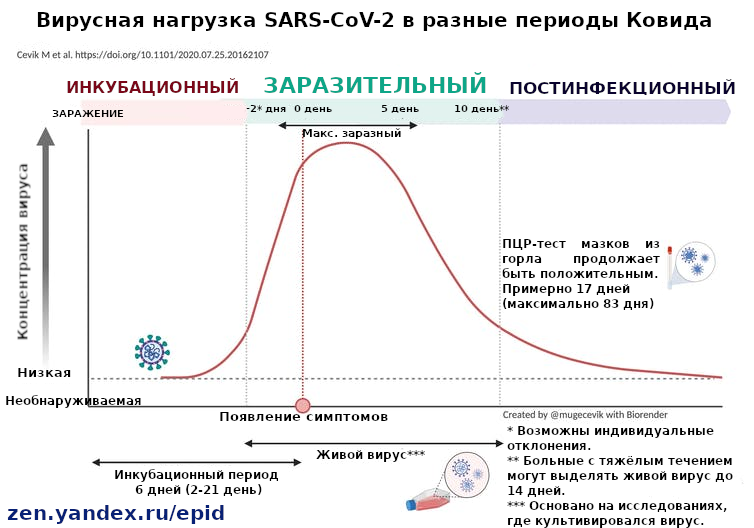 Сколько дней болен коронавирусом. Коронавирус период заразности. Заразность больного коронавирусом. Срок заразности больного коронавирусом. Сроки заразности при коронавирусе.