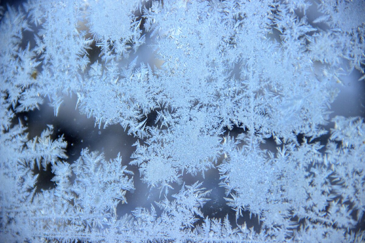 Художник-Мороз раскрасил наши окна