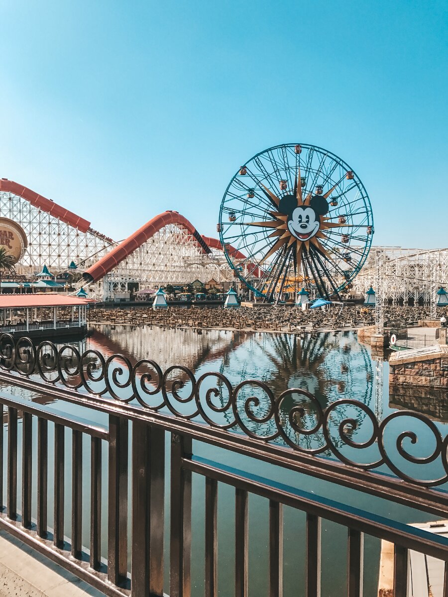 Вид на территорию с аттракционами