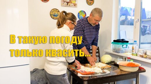 #57 Квашеная капуста по двум рецептам. Скоро будем переселять овец.