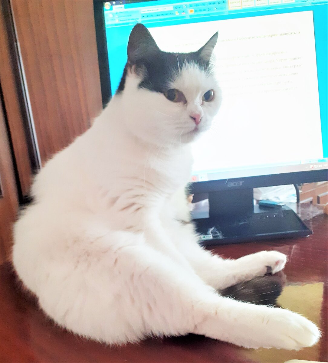 Шарлотта: "Сидеть на попе ровно и строго - это целая наука!"