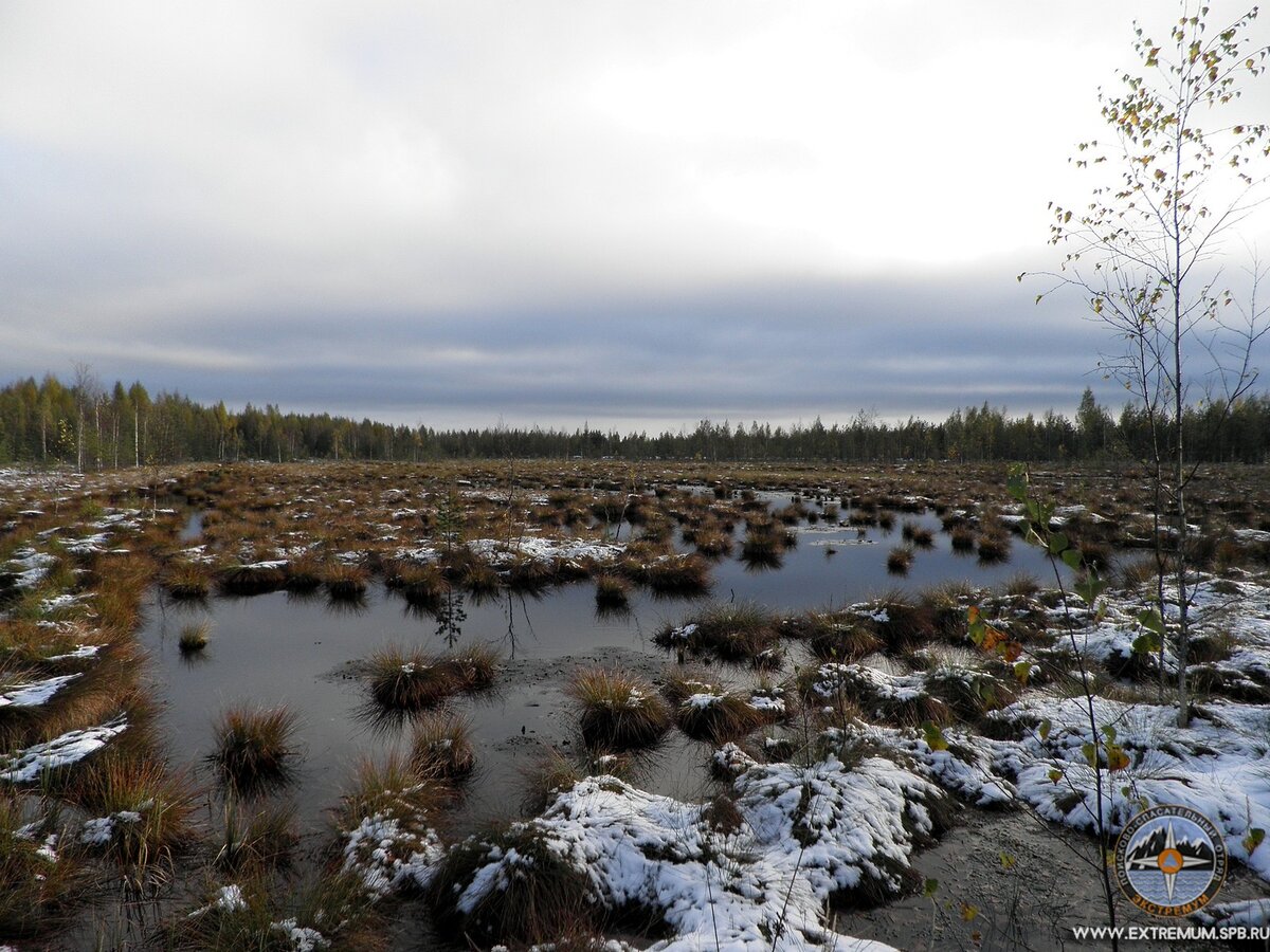 Фото из архива ПСО Экстремум