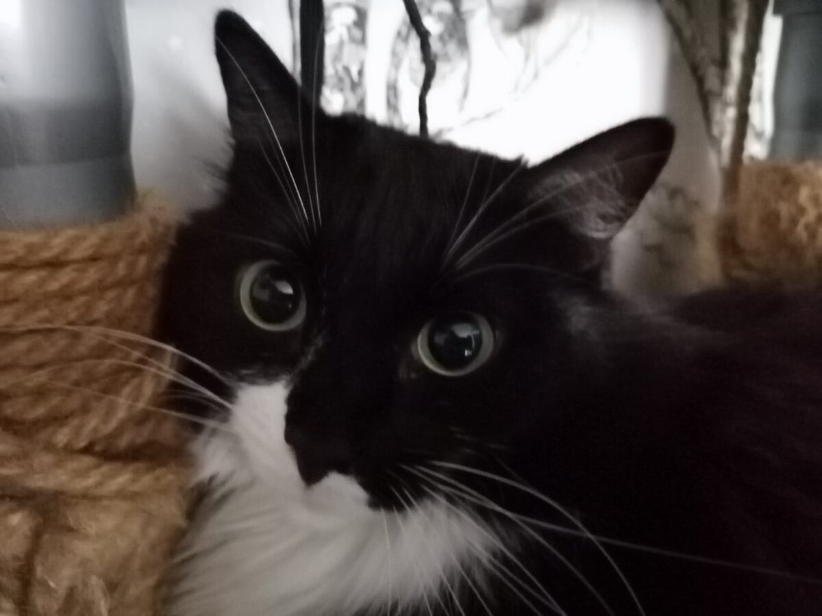 Фото автора