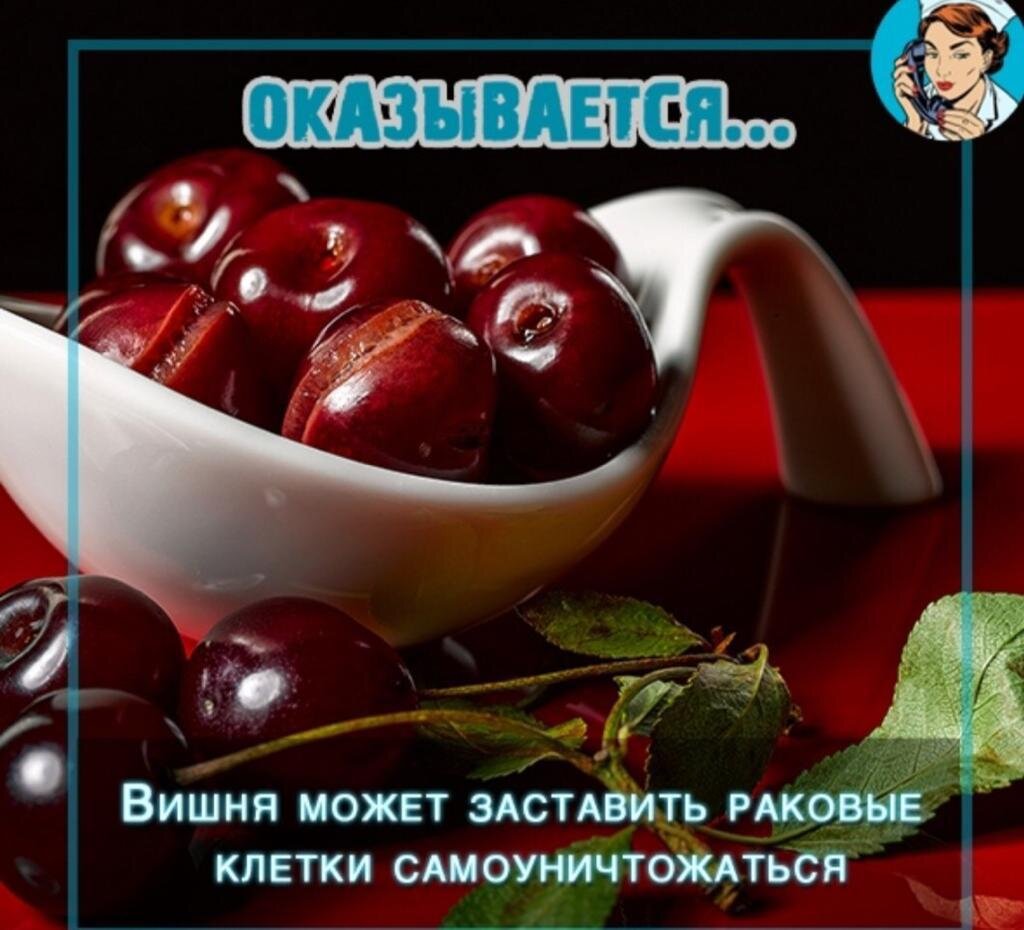 картинки собраны из открытых источников интернета