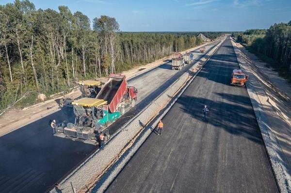 Фото: somanyhorses.ru