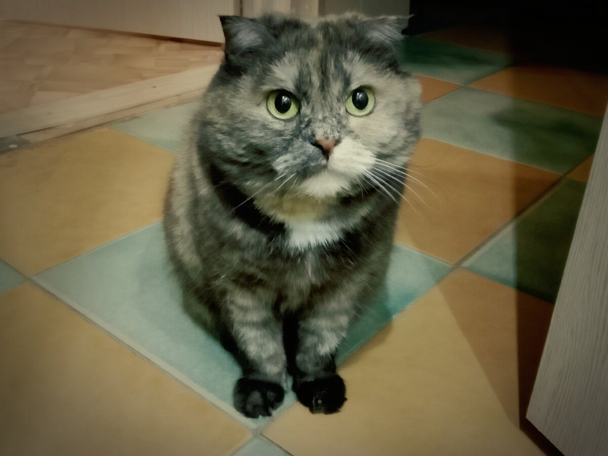 Вот эта вот