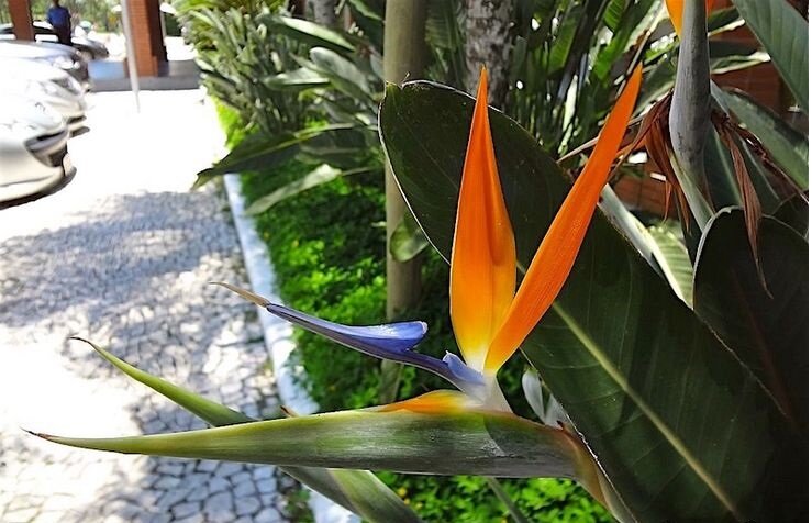 Освещение и температура